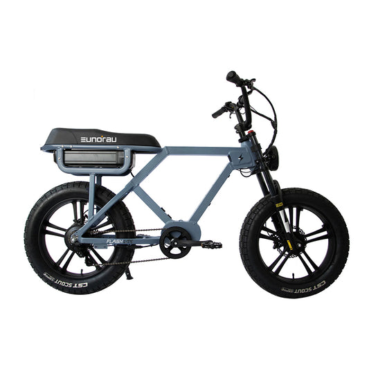 Eunorau Flash - Fat Tire E-Bike - Top Speed 20mph - All Wheel Drive Option - 1500w