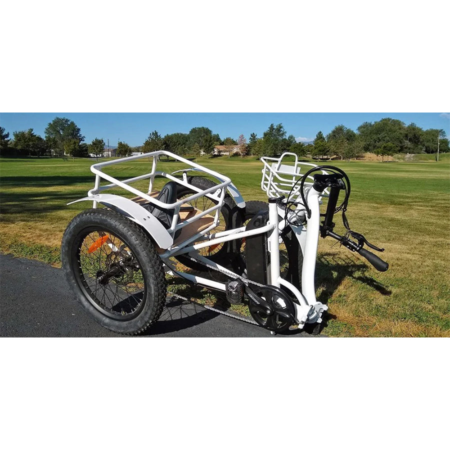 Eunorau New-Trike 2.0 - E-Bike Tricycle - Top Speed 20mph - 500w