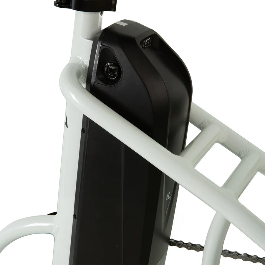 Eunorau New-Trike 2.0 - E-Bike Tricycle - Top Speed 20mph - 500w