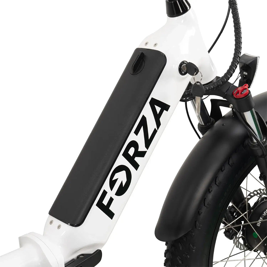 GOBike Forza - Foldable Step-Through Fat Tire Electric Tricycle - Top Speed 20mph - 750W