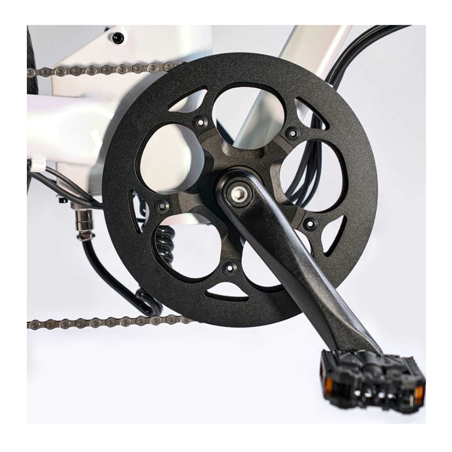 Pedal and chainring of Qualisports Model 5 E-Bike