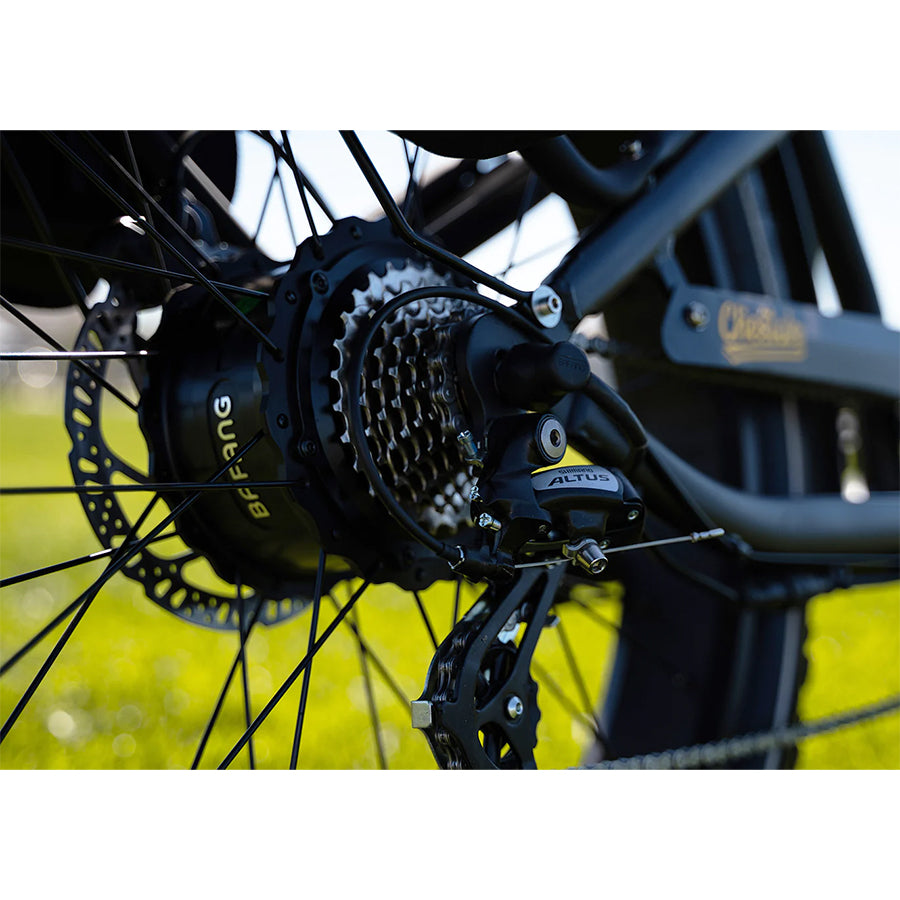 Rear derailleur on a sunny day