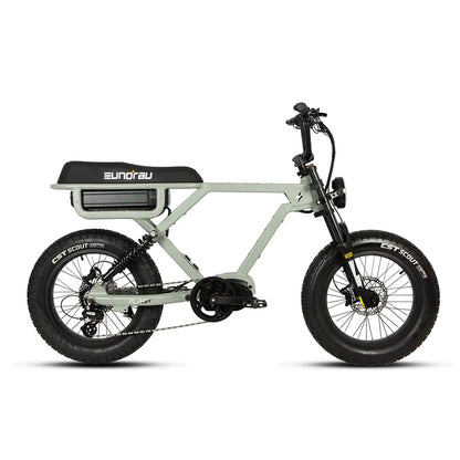 Eunorau Flash - Fat Tire E-Bike - Top Speed 20mph - All Wheel Drive Option - 1500w