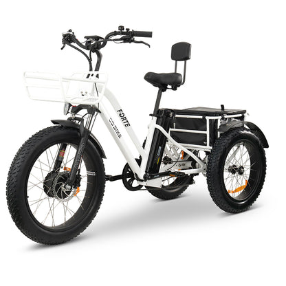 GOBIKE Forte - Step-Through Fat Tire Electric Tricycle - Top Speed 20mph - 750W