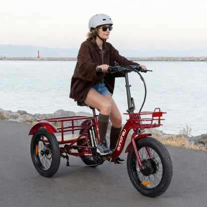 Eunorau New-Trike 2.0